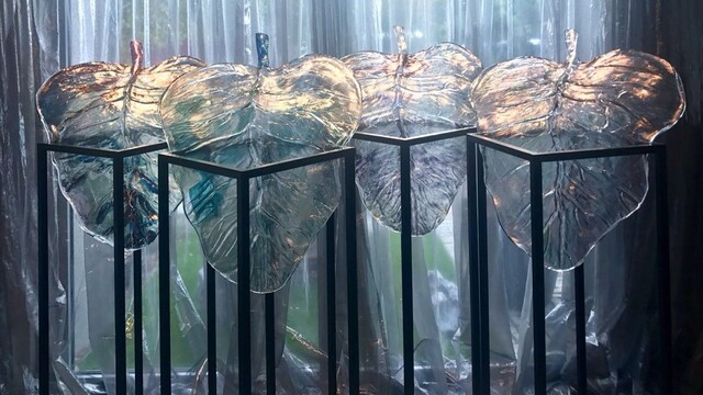 gordana stražca prirody