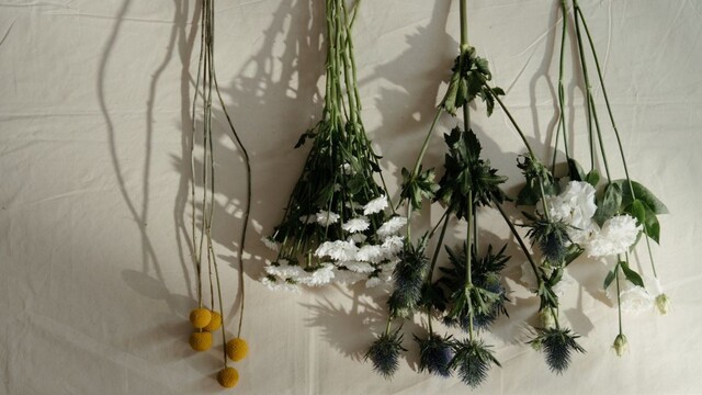 Bylinky na naparovanie