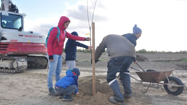 Ľudí nadchla výsadba Ovocnej aleje. V Zálesí sa predbiehali, kto si skôr obsadí jamu