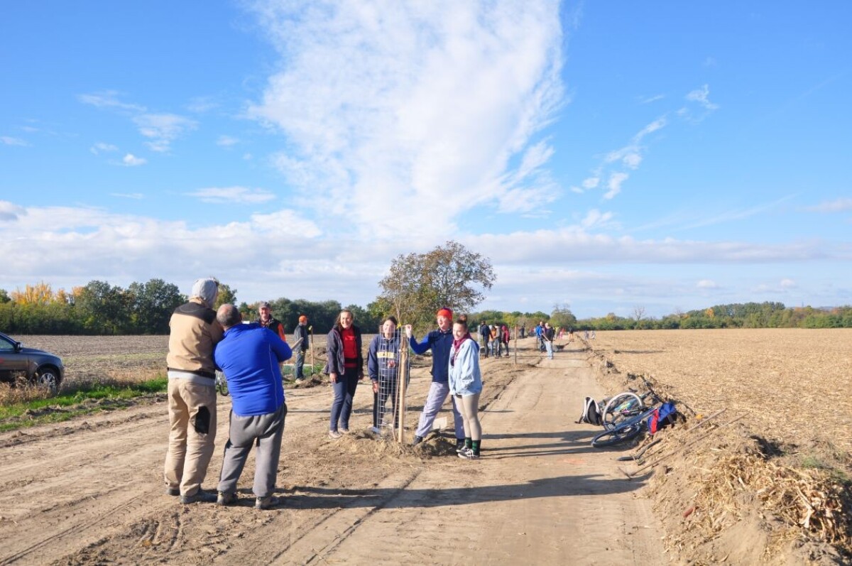 Ovocná alej Zálesie