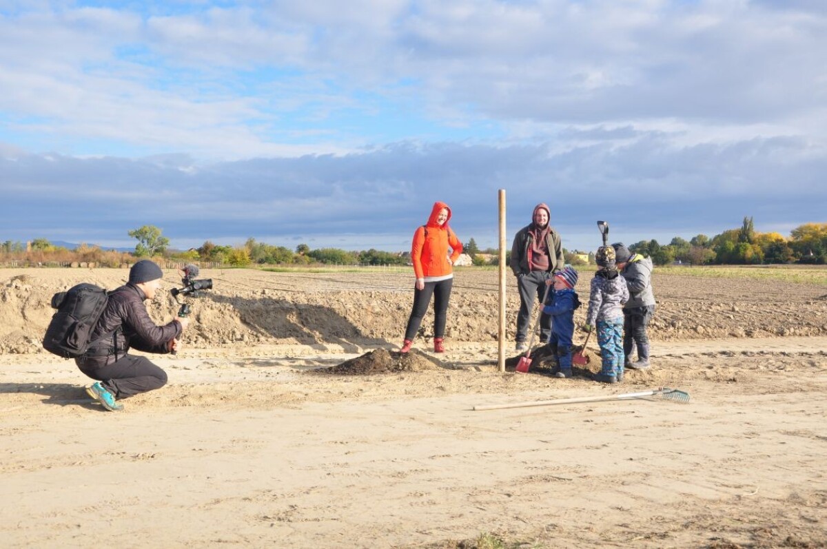 Ovocná alej Zálesie