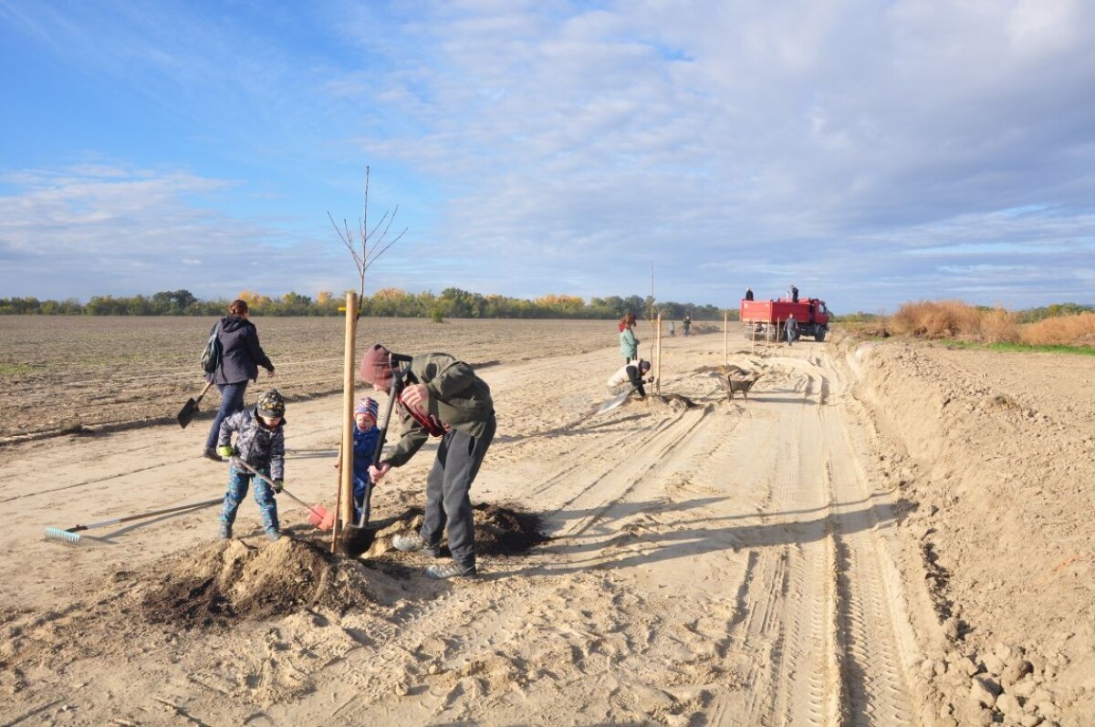 Ovocná alej Zálesie