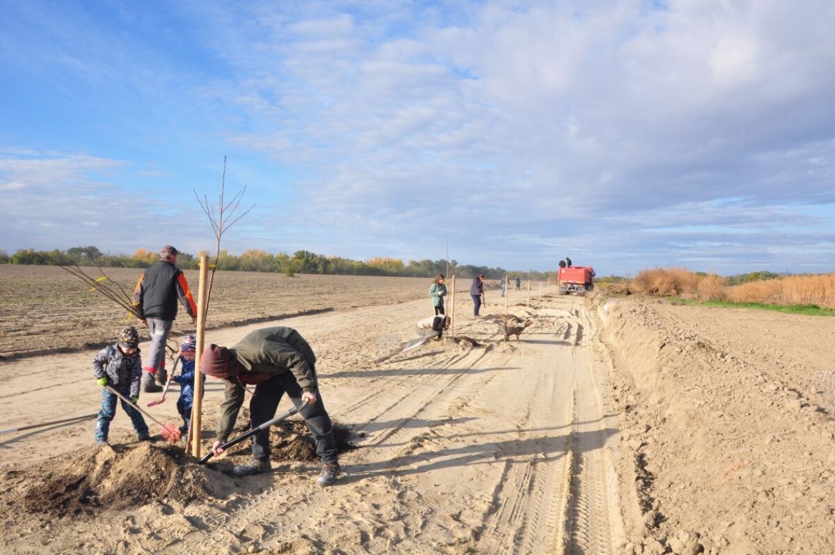 Ovocná alej Zálesie