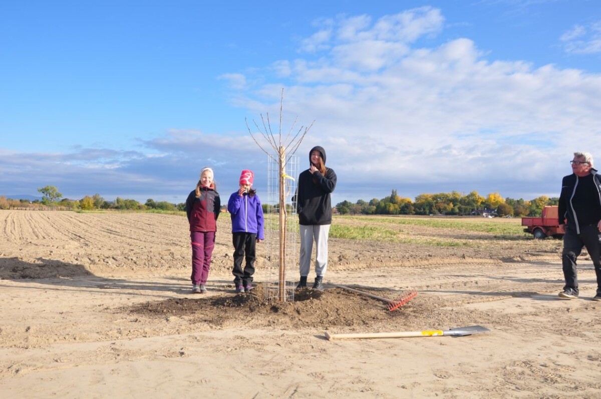 Ovocná alej Zálesie