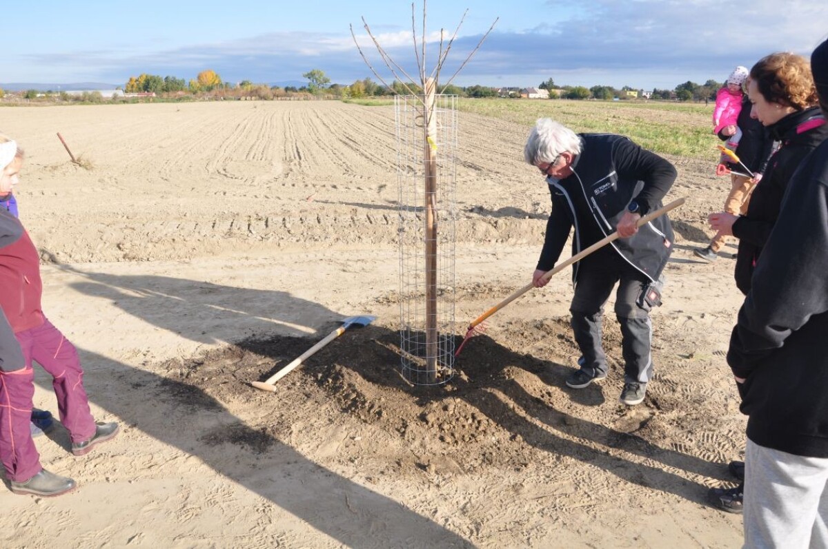 Ovocná alej Zálesie