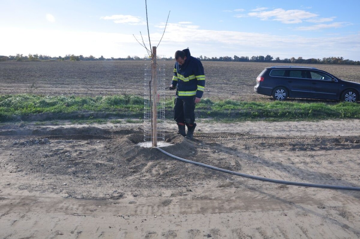 Ovocná alej Zálesie