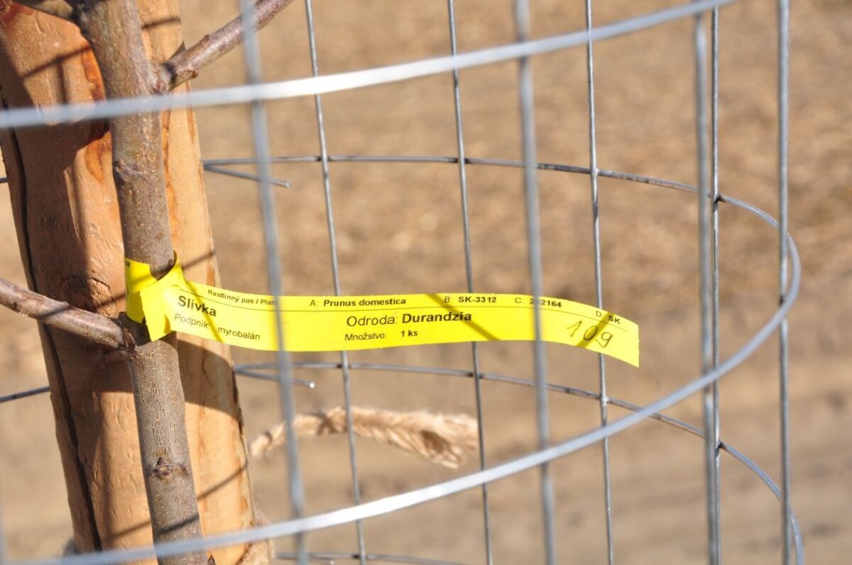 Ovocná alej Zálesie