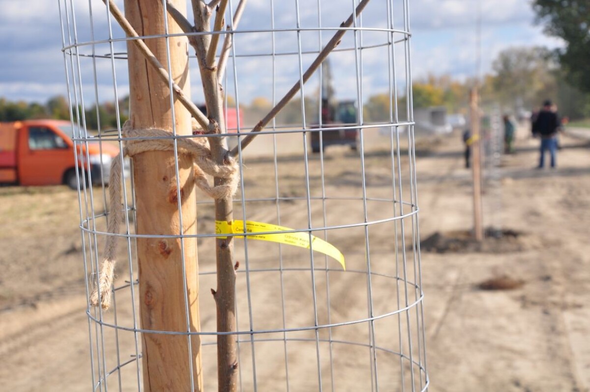 Ovocná alej Zálesie