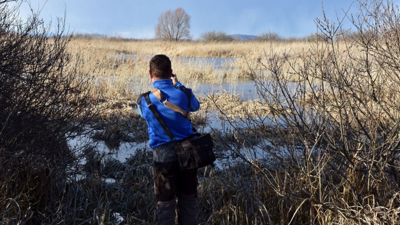 Na Slovensku obnovia desiatky mokradí, envirorezort schválil projekty za milióny eur