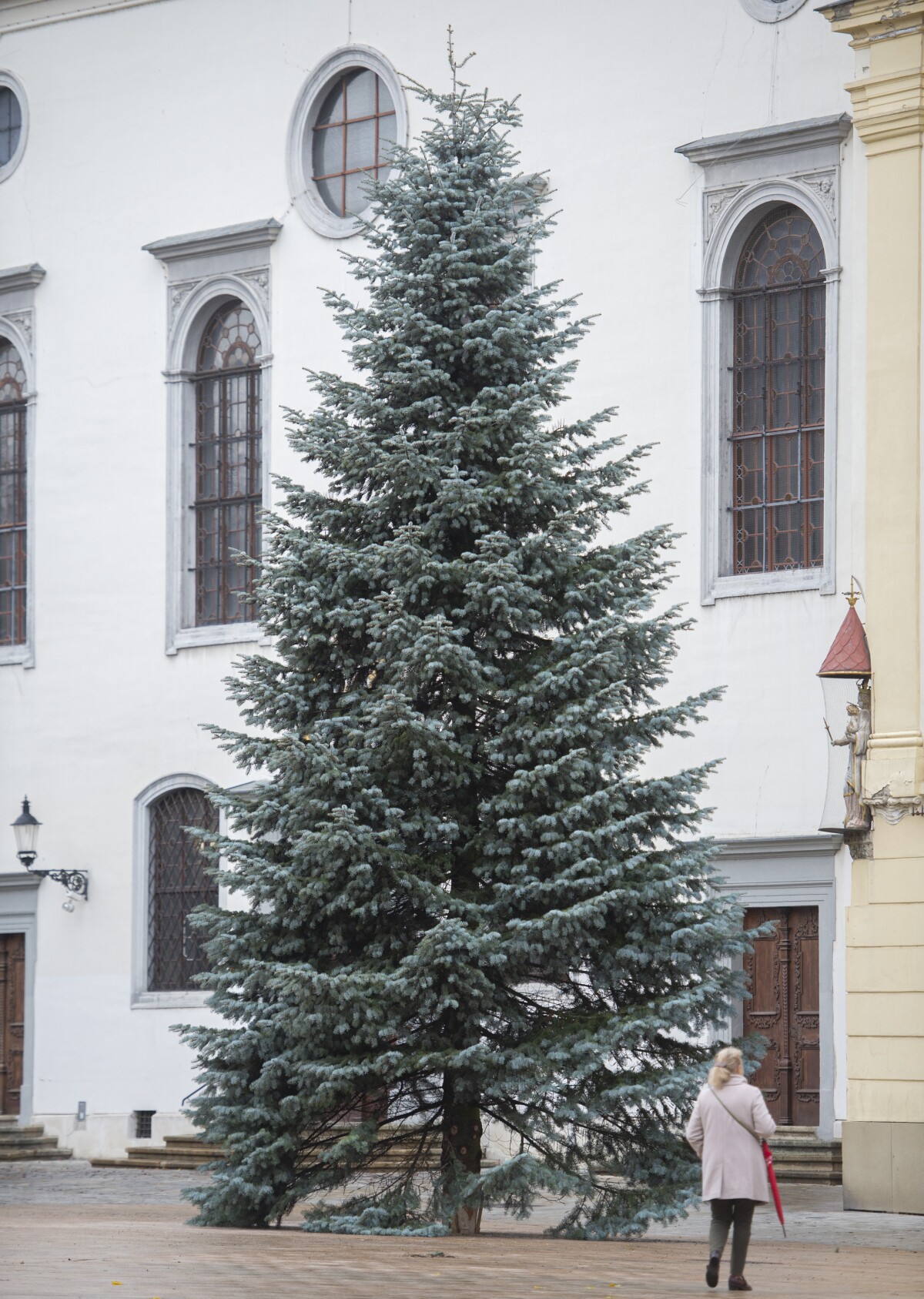 Osadenie vianočného stromčeka na Hlavnom námestí v Bratislave