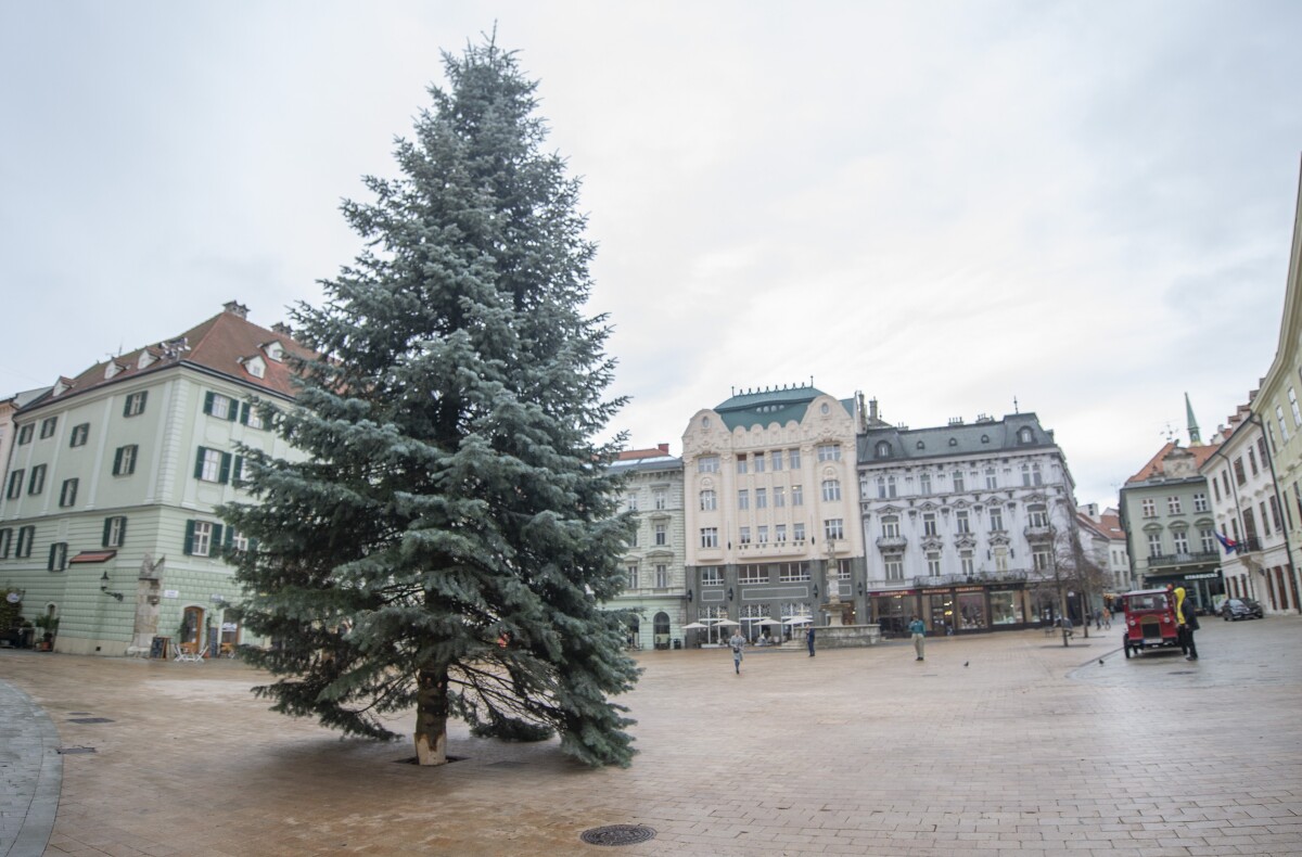 Osadenie vianočného stromčeka na Hlavnom námestí v Bratislave