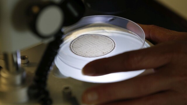 veda mikroskop vedci chémia pokus biológia 1140px (SITA/AP)