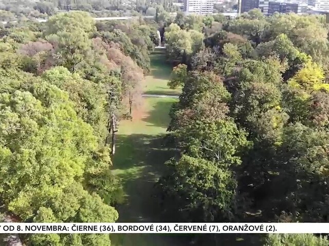 bratislava_lesy_2.jpg