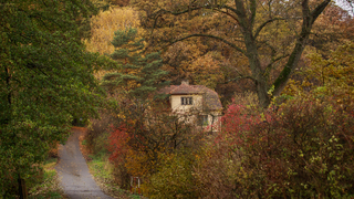 Štátne lesy odmietajú Vlčanovu kritiku. Obhajujú zmluvu s Bödörovcami