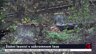 Štátni lesníci ťažili v Levočských vrchoch, súkromníci hovoria o státisícových škodách
