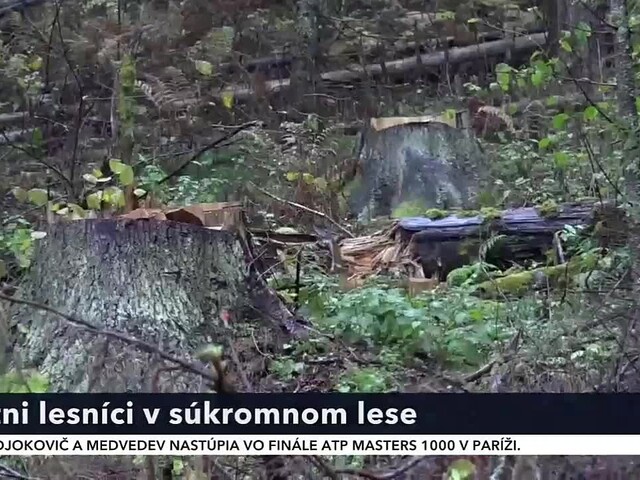 Štátni lesníci ťažili v Levočských vrchoch, súkromníci hovoria o státisícových škodách