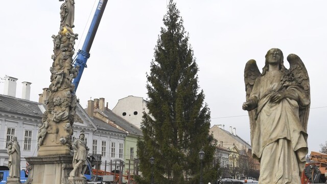 Vianočný strom osadili na Hlavnej ulici v Košiciach pri súsoší Immaculata vo štvrtok 18. novembra 2021.