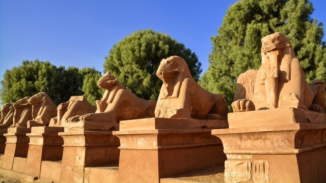 Egyptské sfingy.