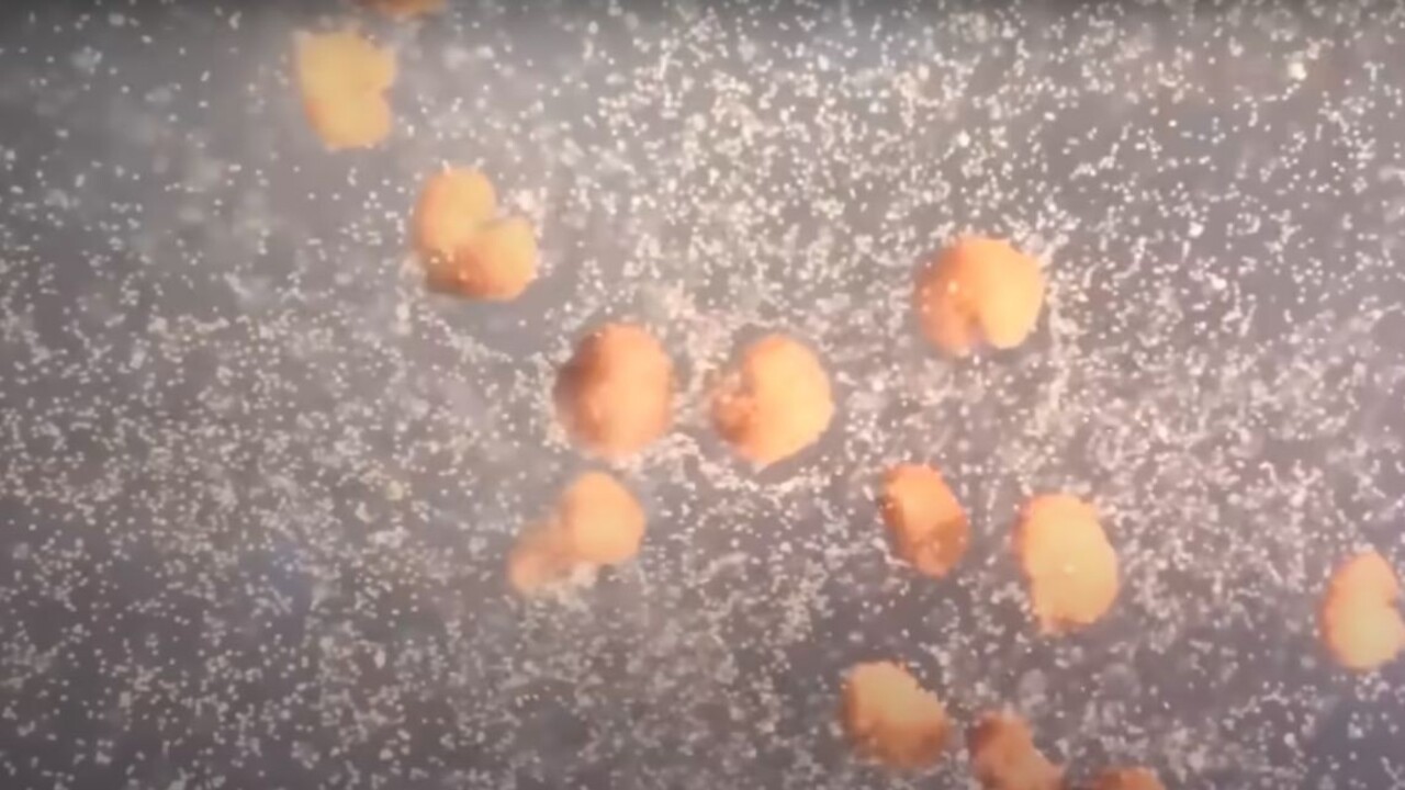 Existujú roboti, ktorí sa vedia rozmnožovať. Ich spôsob sa nepodobá rastlinám ani zvieratám