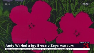 Luxusnú knižnicu doplnili dve monografie / Hviezdoslav s barokom v opere SND / Andy Warhol a Igy Brezo v Zoya museum / Na kávičke so Zuzanou Smatanovou