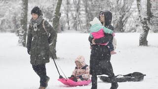 FOTO: Sneh zasypal Bratislavu, na cesty vyrazili sypače, rodičia s deťmi vyrazili na sánkovačku