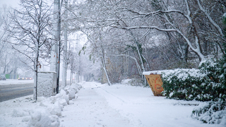 Budeme mať biele Vianoce? Meteorológovia prišli s jasnou predpoveďou