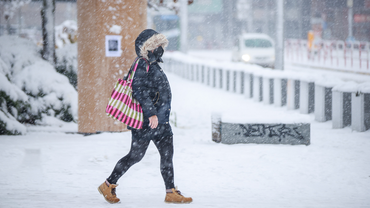 Snehová kalamita v Bratislave
