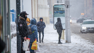 Snehová kalamita v Bratislave