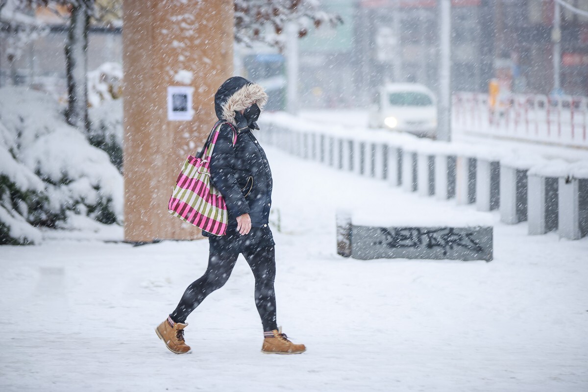 Snehová kalamita v Bratislave