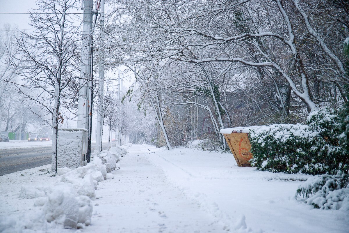 Snehová kalamita v Bratislave