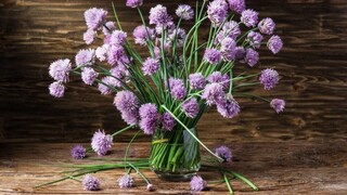 Kvety pažítky v receptoch, objavte netradičné využitie