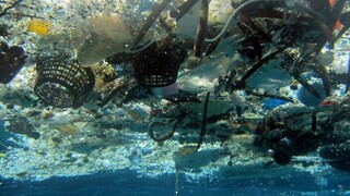 Do roku 2050 by mohlo byť v oceánoch štvornásobne viac plastového odpadu