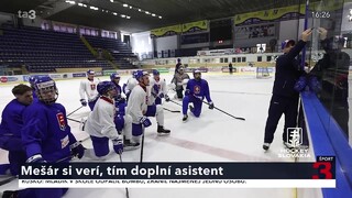 K príprave na juniorské majstrovstvá sveta v hokeji sa pripojili aj Nemec a Sýkora