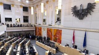 Rakúsky minister vnútra Karner čelí kritike za antisemitské vyjadrenia