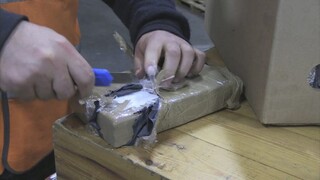 Česká polícia našla v potravinovom reťazci kokaín. Drogy boli ukryté v zásielke bio banánov