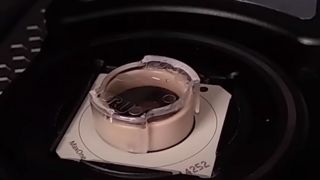 Bunky v miske dokázali prekonať umelú inteligenciu. Podali lepší výkon vo videohre Pong