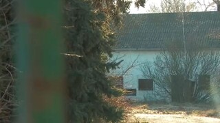 Prípad útoku na dievča v Miloslavove bude riešiť brannobezpečnostný výbor, zasadne v utorok