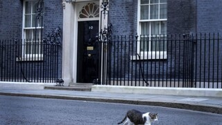 Johnsonov úrad sa za večierky ospravedlnil Buckinghamskému palácu