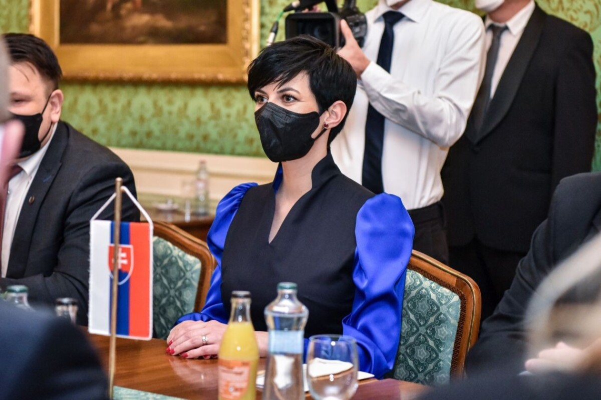 SR ČR Pekarová Adamová Heger návšteva