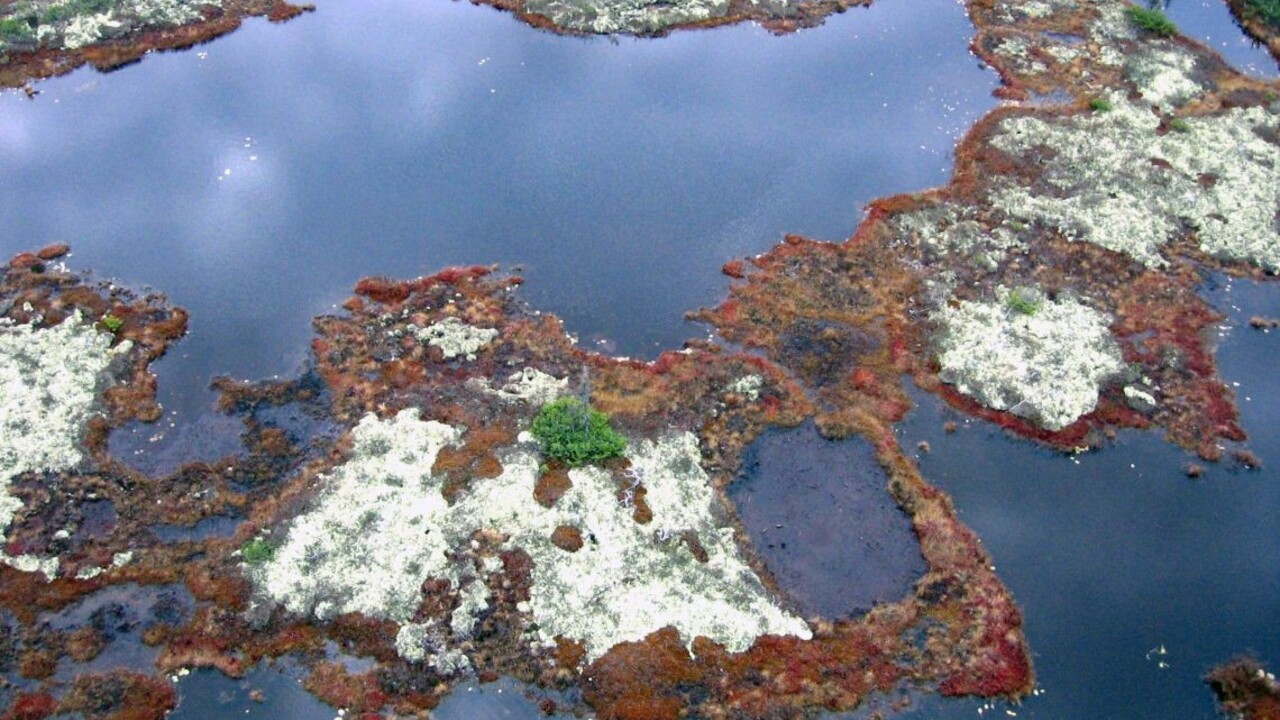 Večne zmrznutá pôda