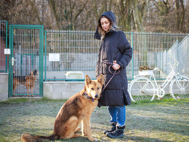 FOTO: Navštívili sme útulok. Z príbehov niektorých psov behá mráz po chrbte