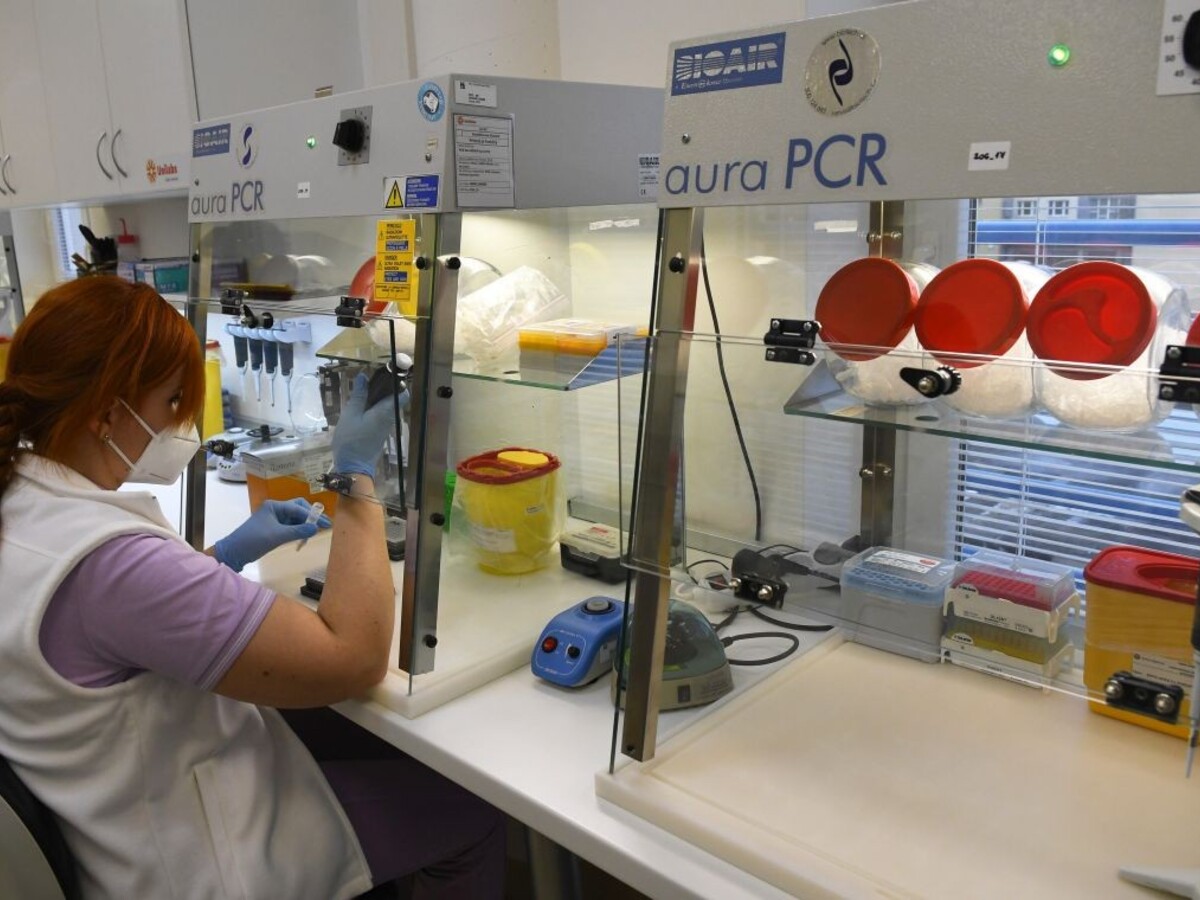 Omikron už začína byť dominantný. Laboratóriá potvrdili vyše 200 ďalších prípadov