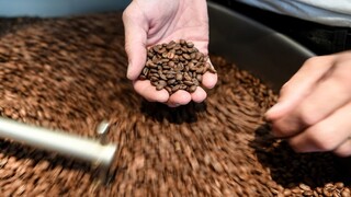 Do roku 2050 bude rásť káva inde ako doposiaľ, "Brazília" už nebude bežná
