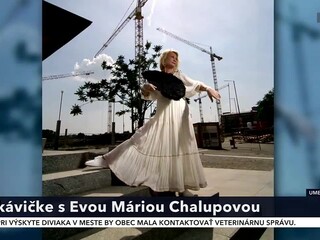 20221202_na_kavicke_chalupova_4.jpg