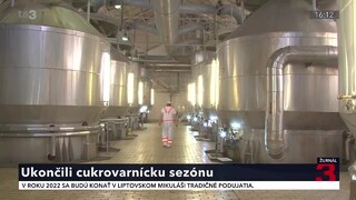 Cukrovarnícka sezóna ukončená. Napriek zvýšeným nákladom a vysokým cenám bola produkcia cukru nadpriemerná