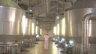 Cukrovarníci sú znepokojení. Čo  urobí dovoz tisícov ton cukru z Ukrajiny?