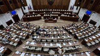 Ľudia v referende o skrátení volebného obdobia hlasovať nebudú. Návrh na zmenu ústavy neprešiel