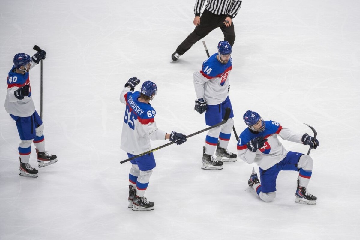 Zápas Slovenska s USA