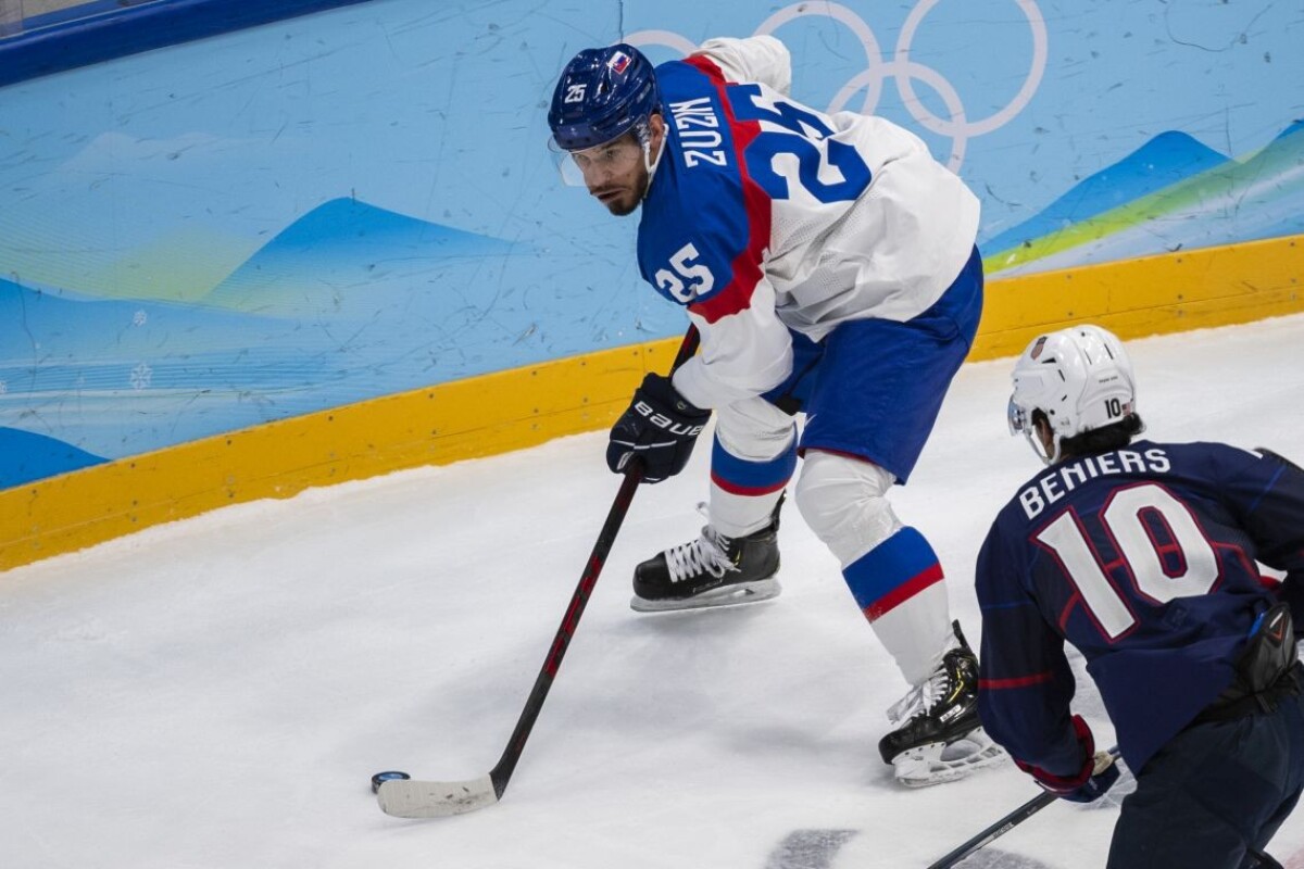 Zápas Slovenska s USA