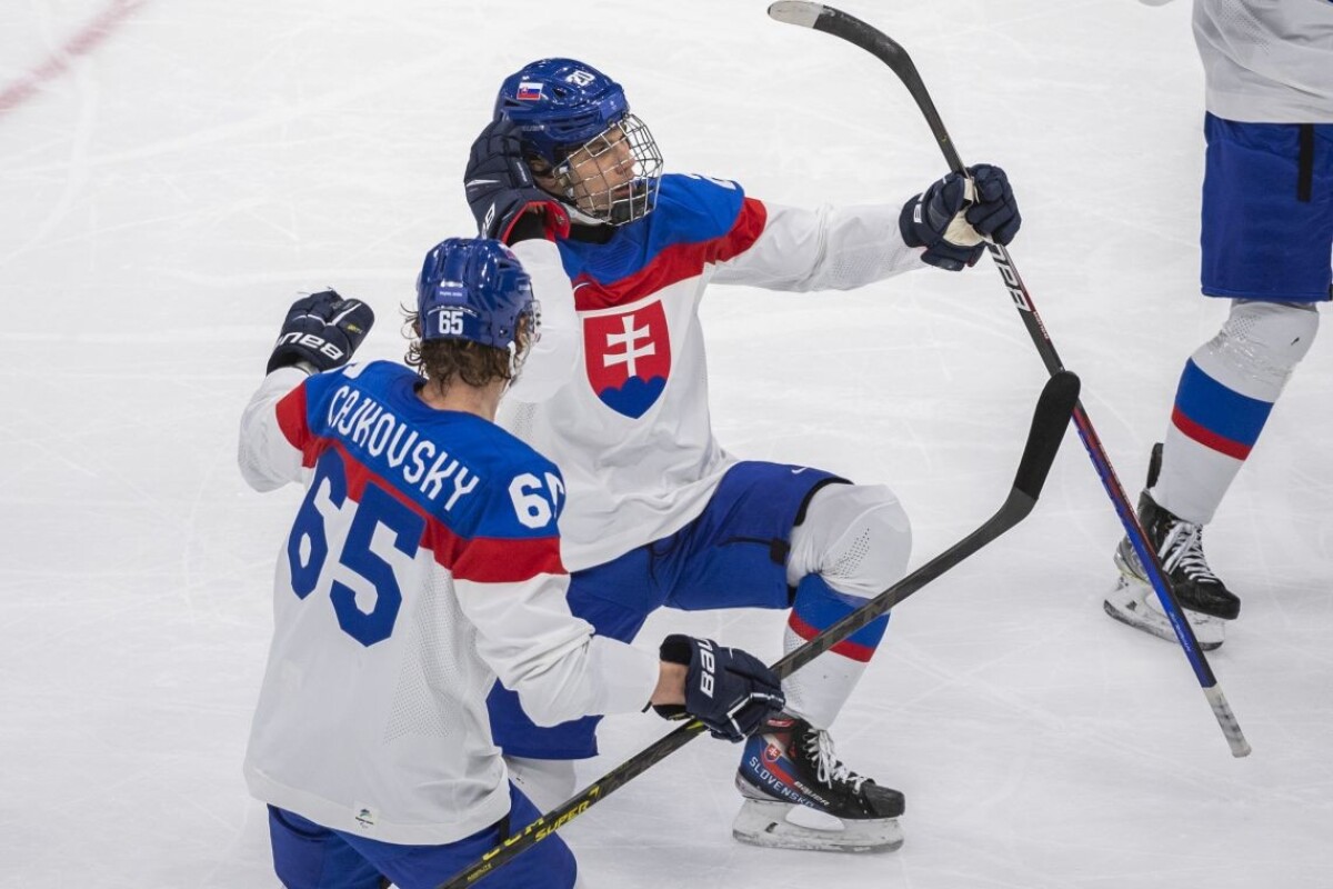 Zápas Slovenska s USA